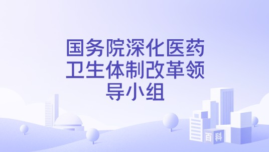 国务院深化医药卫生体制改革领导小组