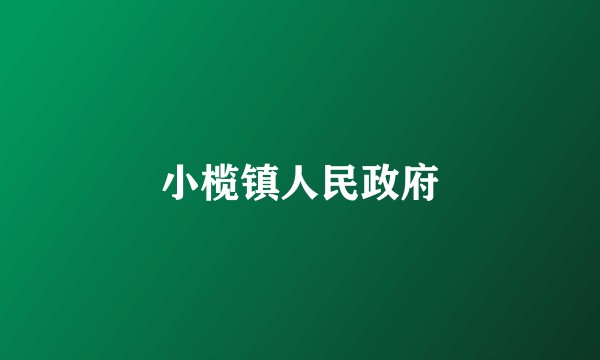 小榄镇人民政府