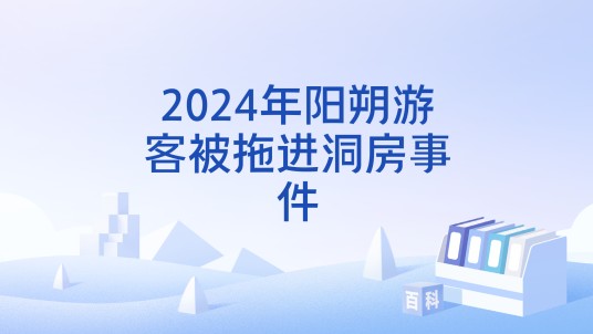 2024年阳朔游客被拖进洞房事件