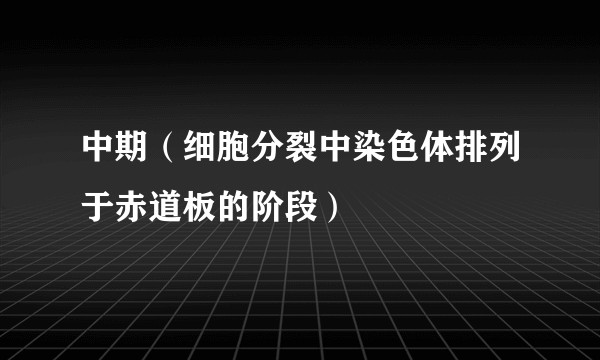 中期（细胞分裂中染色体排列于赤道板的阶段）