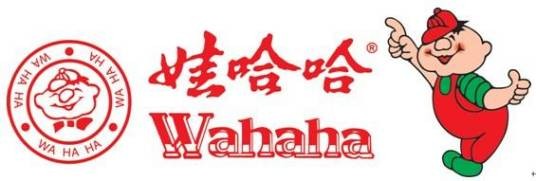 杭州娃哈哈集团有限公司