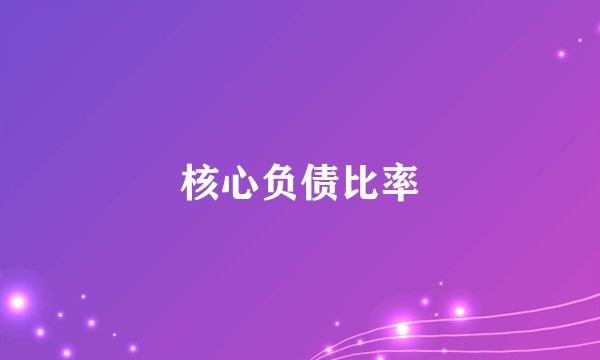 核心负债比率