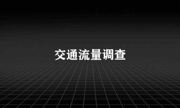 交通流量调查
