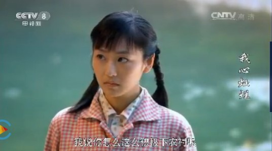 赵家慧（电视剧《我心灿烂》的角色）