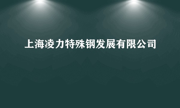 上海凌力特殊钢发展有限公司