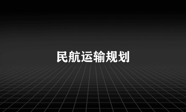 民航运输规划