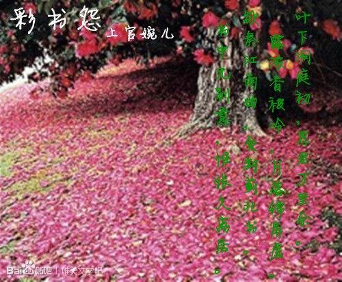 彩书怨