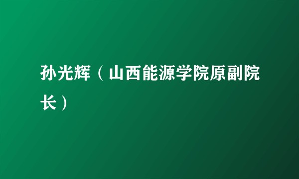 孙光辉（山西能源学院原副院长）