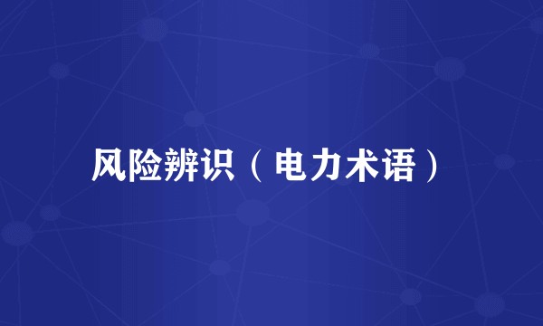 风险辨识（电力术语）