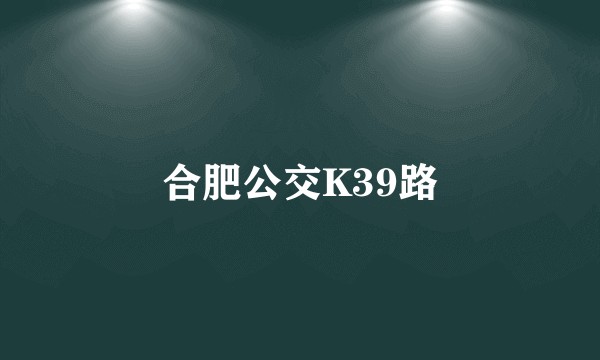 合肥公交K39路