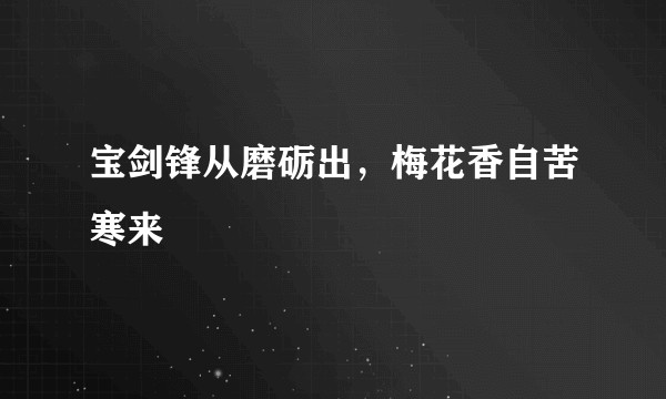 宝剑锋从磨砺出，梅花香自苦寒来