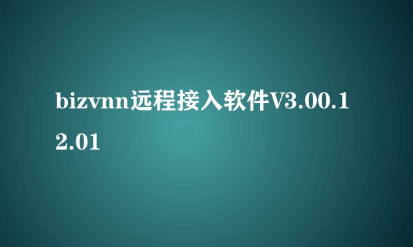 bizvnn远程接入软件V3.00.12.01