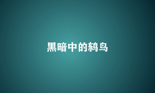 黑暗中的鸫鸟