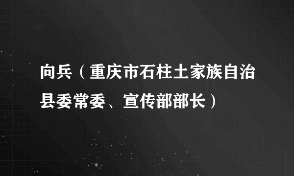 向兵（重庆市石柱土家族自治县委常委、宣传部部长）