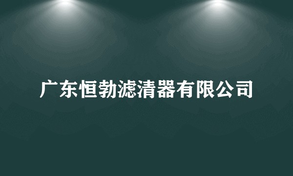 广东恒勃滤清器有限公司
