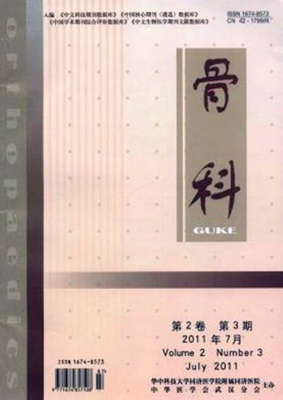 骨科（期刊）