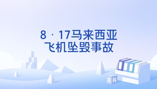8·17马来西亚飞机坠毁事故