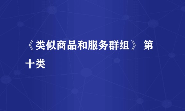 《类似商品和服务群组》 第十类