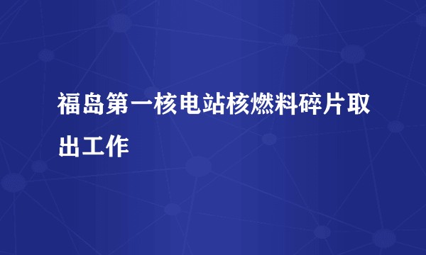 福岛第一核电站核燃料碎片取出工作
