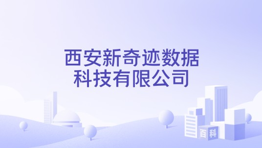 西安新奇迹数据科技有限公司