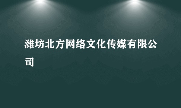 潍坊北方网络文化传媒有限公司