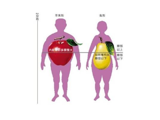内脏脂肪