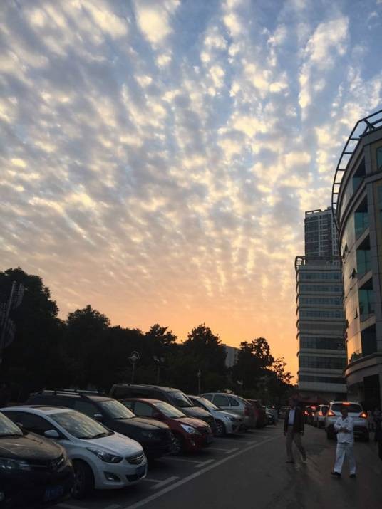 地震云（伪科学概念）