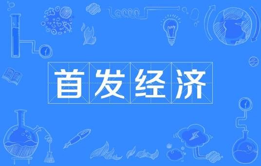 首发经济（一种经济术语）