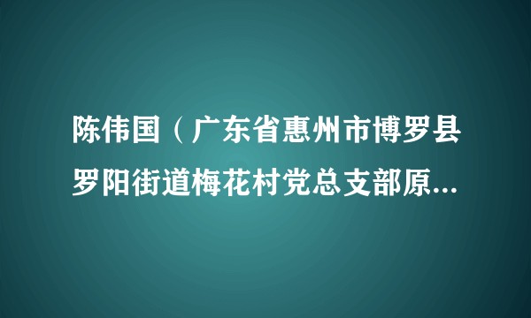 陈伟国（广东省惠州市博罗县罗阳街道梅花村党总支部原书记、村委会原主任）