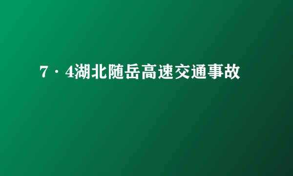 7·4湖北随岳高速交通事故