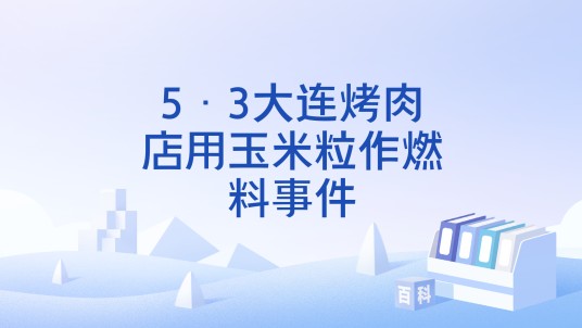 5·3大连烤肉店用玉米粒作燃料事件