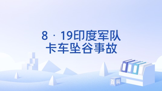 8·19印度军队卡车坠谷事故
