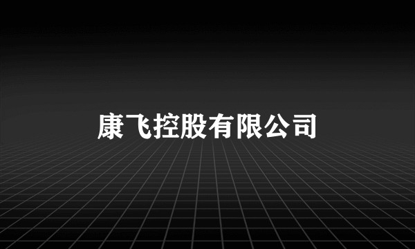 康飞控股有限公司