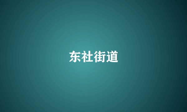 东社街道