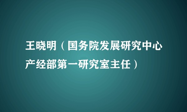 王晓明（国务院发展研究中心产经部第一研究室主任）