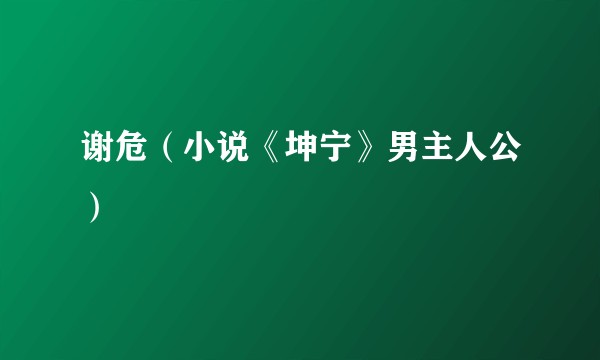谢危（小说《坤宁》男主人公）