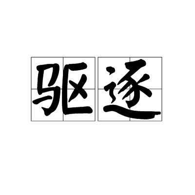 驱逐(汉语词汇)