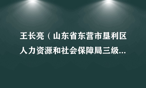王长亮（山东省东营市垦利区人力资源和社会保障局三级主任科）