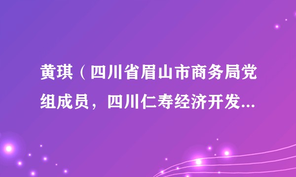 黄琪（四川省眉山市商务局党组成员，四川仁寿经济开发区管理委员会主任）