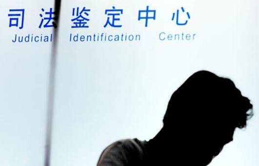 司法鉴定（进行鉴别和判断并提供鉴定意见的活动）