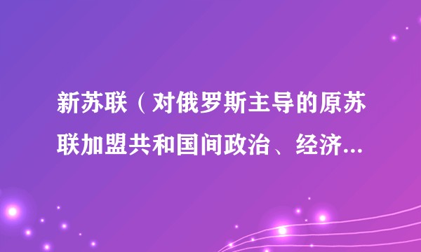 新苏联（对俄罗斯主导的原苏联加盟共和国间政治、经济、军事联合的称呼）