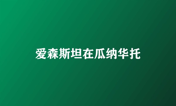 爱森斯坦在瓜纳华托