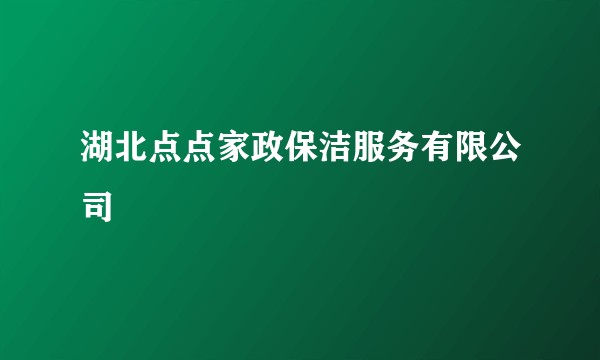 湖北点点家政保洁服务有限公司