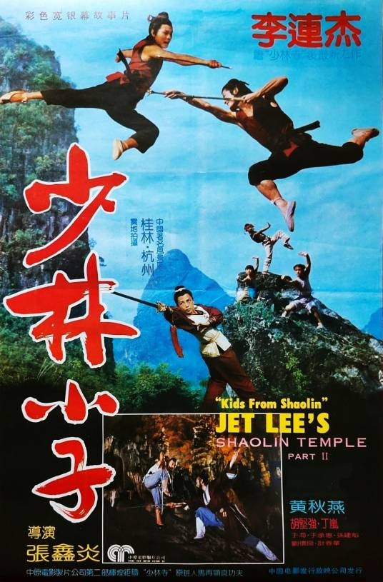 少林小子（1984年张鑫炎执导的动作电影）