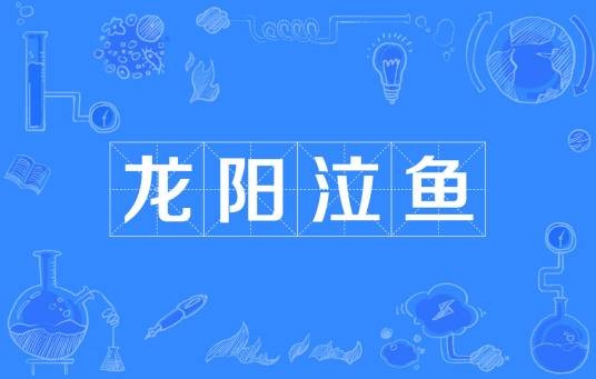 龙阳泣鱼