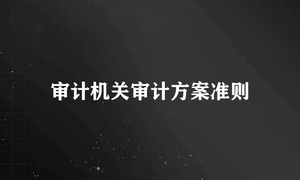审计机关审计方案准则