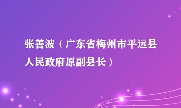 张善波(广东省梅州市平远县人民政府原副县长)