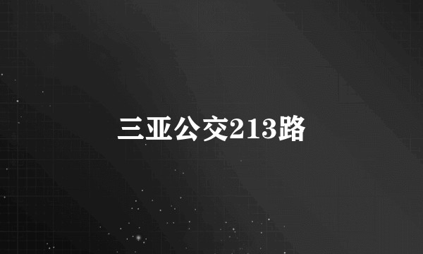 三亚公交213路