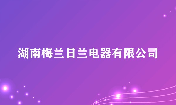 湖南梅兰日兰电器有限公司