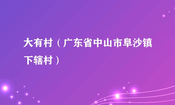 大有村（广东省中山市阜沙镇下辖村）